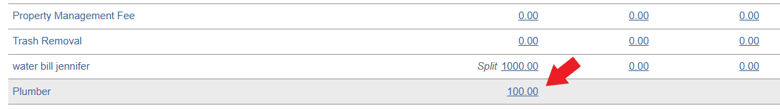 Enter a one-time transaction that is not on the worksheet